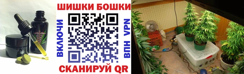 Купить  Гвардейск  Cannafood конопля 