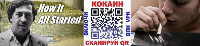 Купить закладки  Гвардейск  COCAIN 98% 