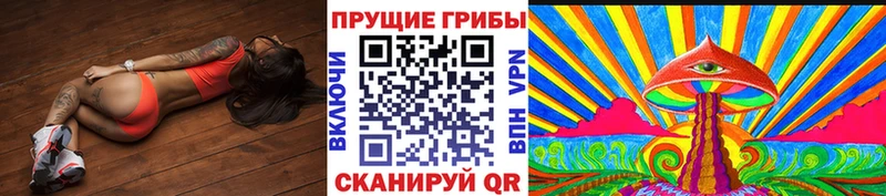 Купить закладки  Гвардейск  Псилоцибиновые грибы GOLDEN TEACHER 